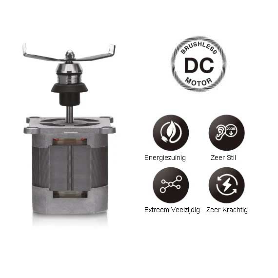 BORSTELLOZE DC-MOTOR